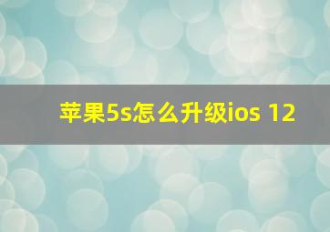 苹果5s怎么升级ios 12